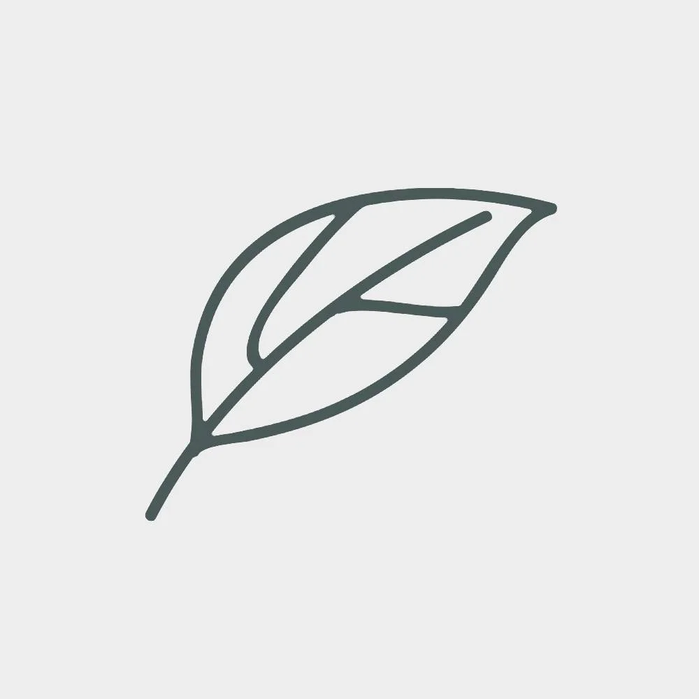 Simple line drawing of a leaf with detailed veins.