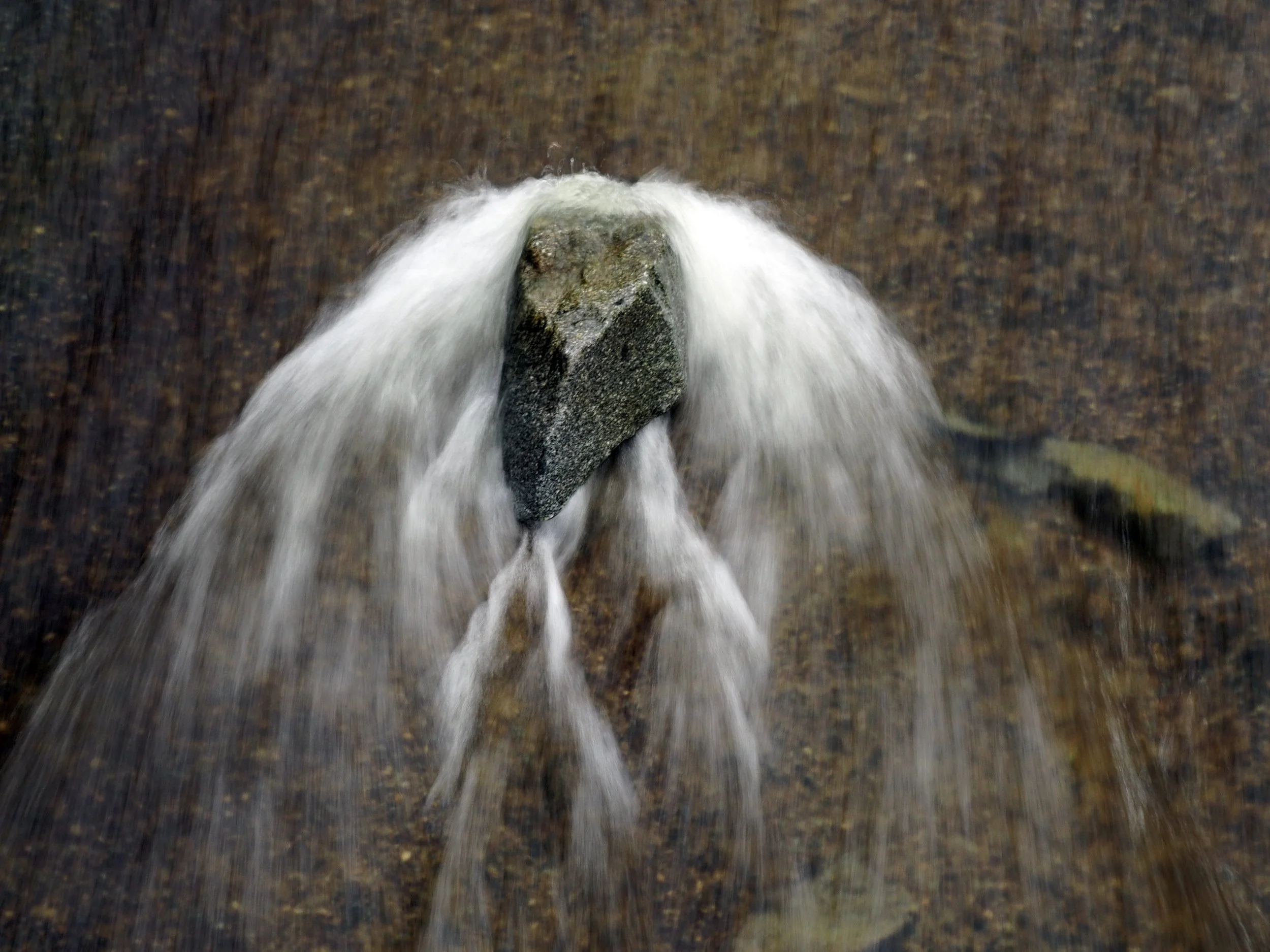 2023 02 05-Mosquito Creek-G2050425M.JPG