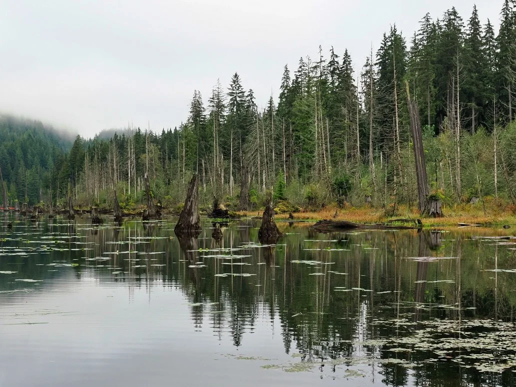 11-Buntzen Lake Trail.JPG