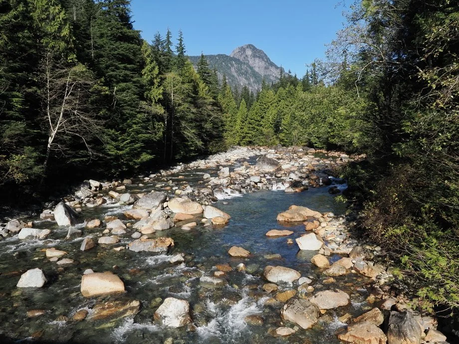 19-Gold Creek.JPG