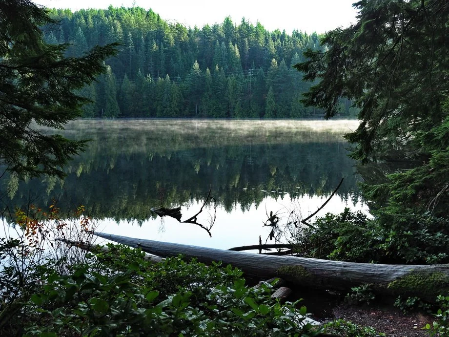 27-Woodhaven-Sasamat.JPG