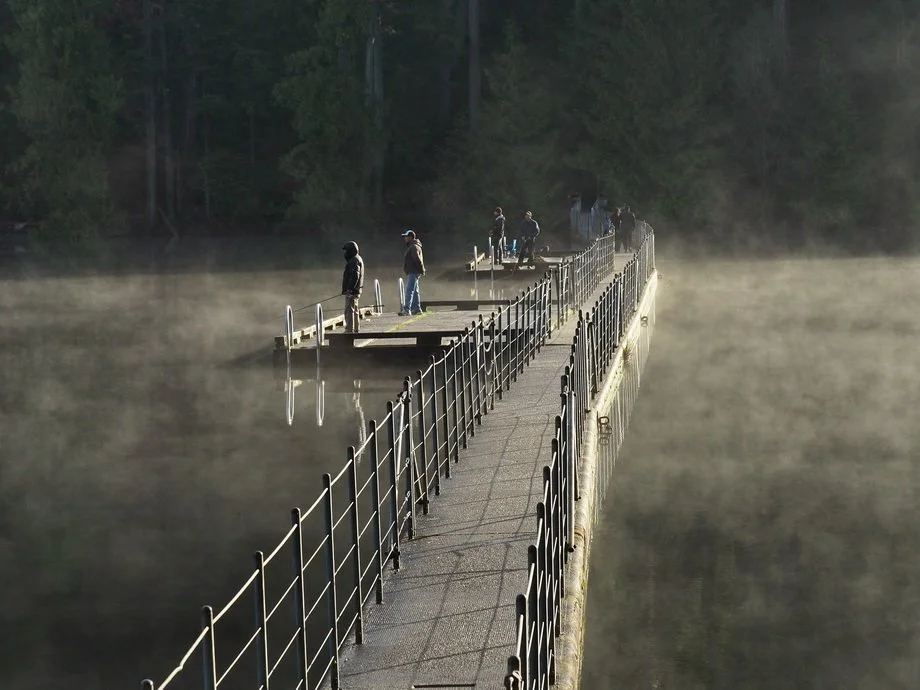 28-Woodhaven-Sasamat.JPG