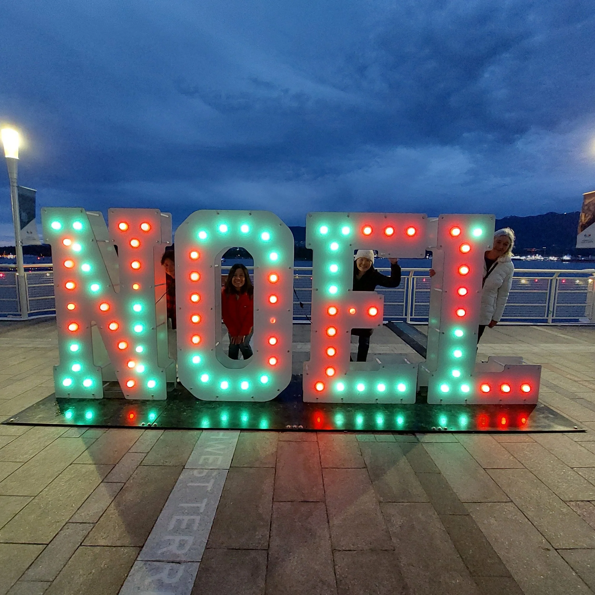 Fleurs de Villes NOËL Walk