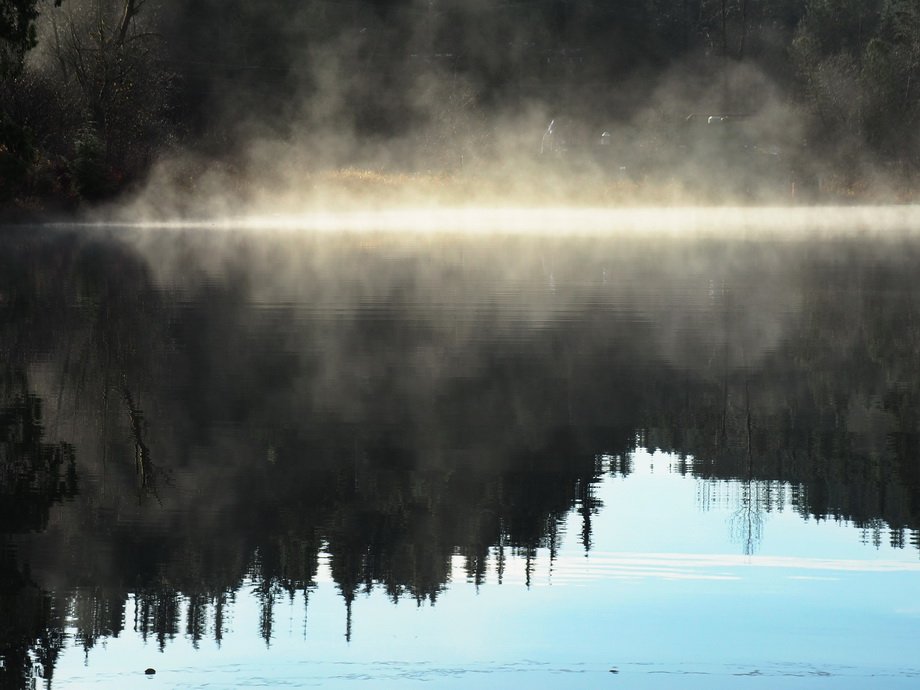 29-Woodhaven-Sasamat (1).JPG