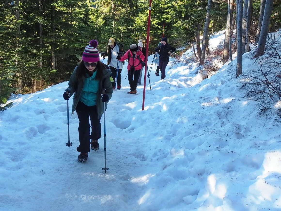 25-Bowen Lookout.JPG