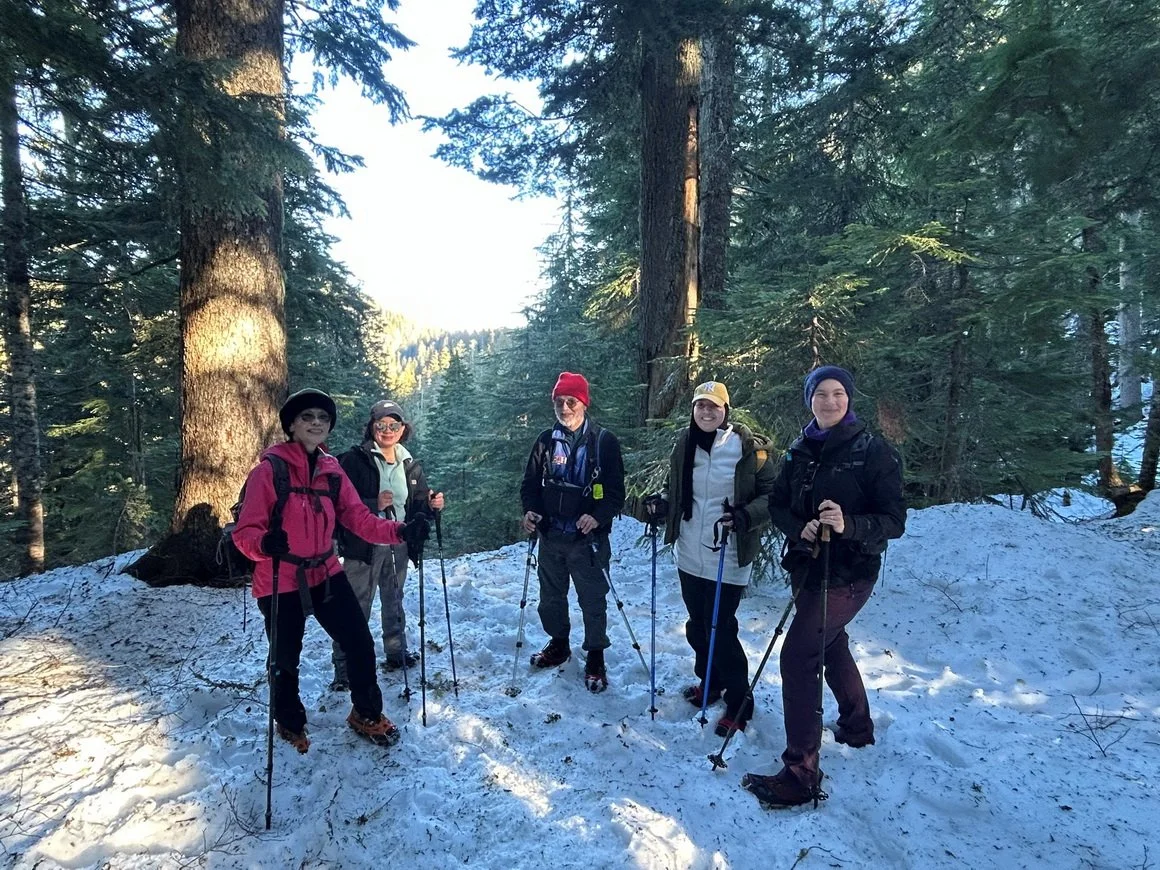 26-Bowen Lookout.jpg