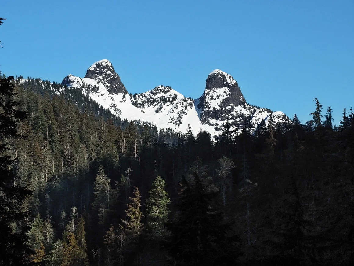 27-Bowen Lookout.JPG
