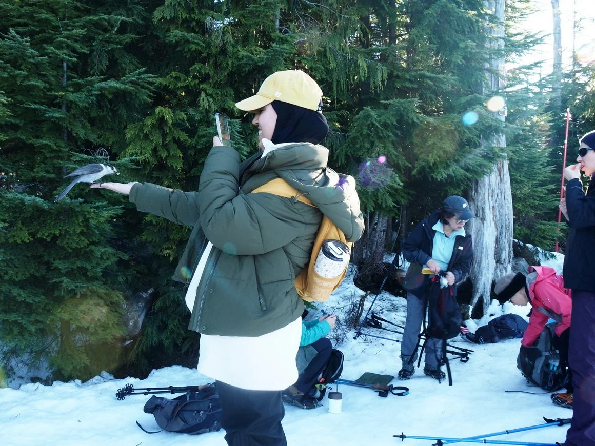 29-Bowen Lookout.JPG