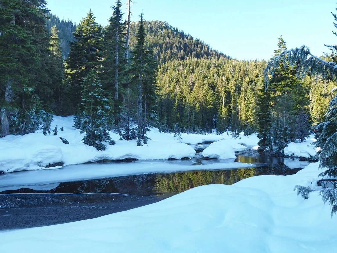 Bowen Lookout - Snow Hike