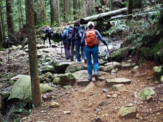 Lynn Loop and Headwaters/Rice Lake Hike