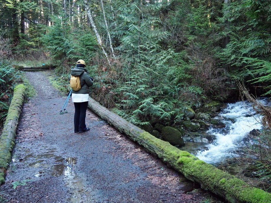21-M Knapp UBC Research Forest.JPG