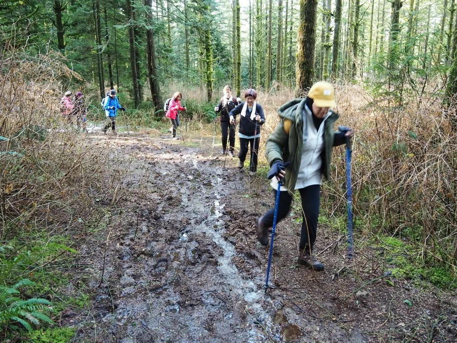 22-M Knapp UBC Research Forest.JPG
