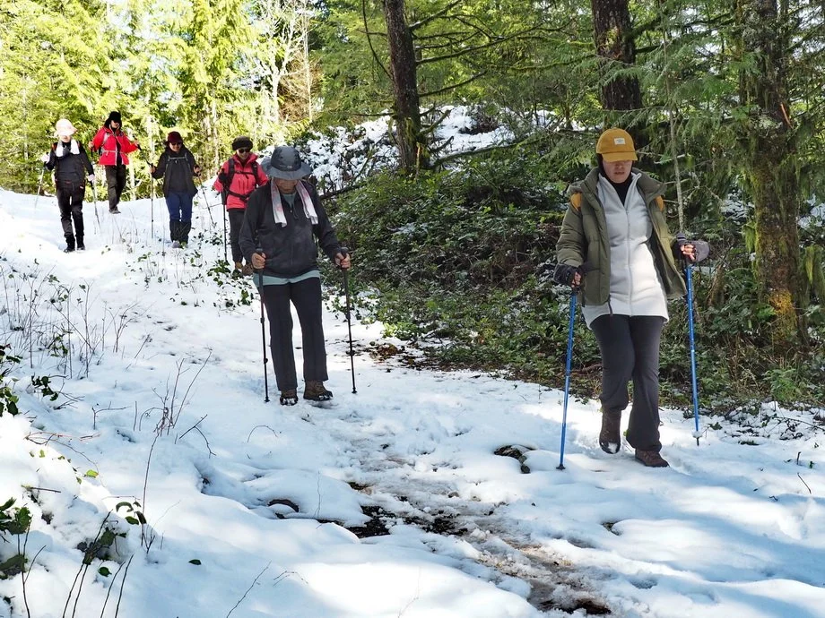 27-M Knapp UBC Research Forest.JPG