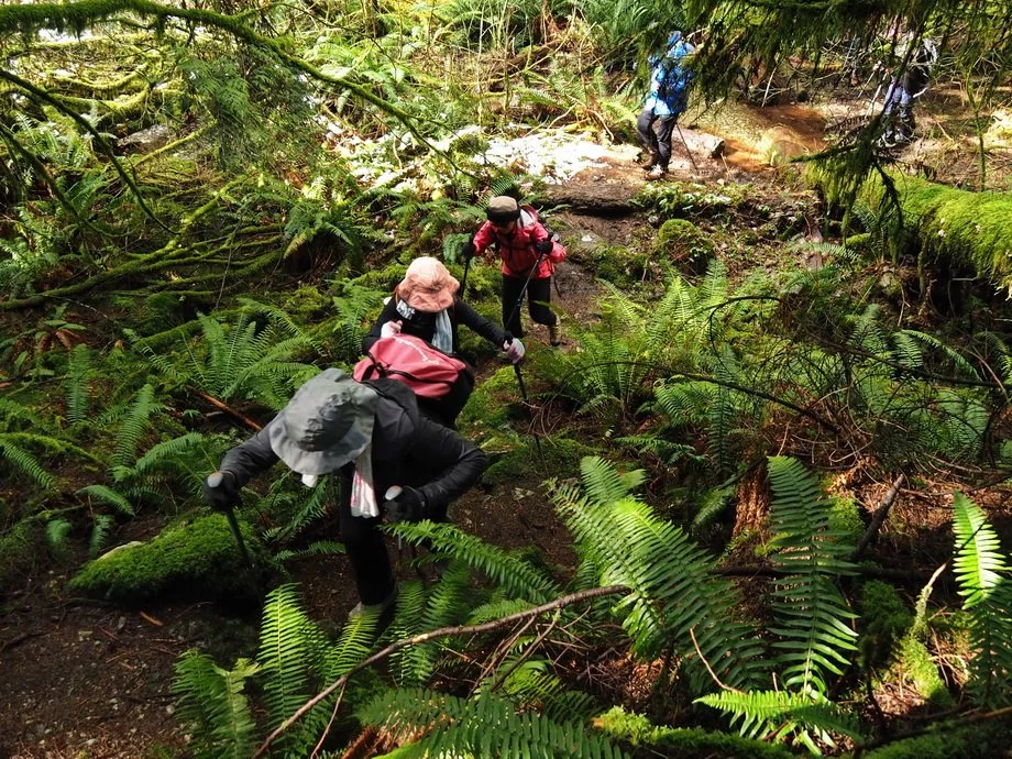 29-M Knapp UBC Research Forest.JPG