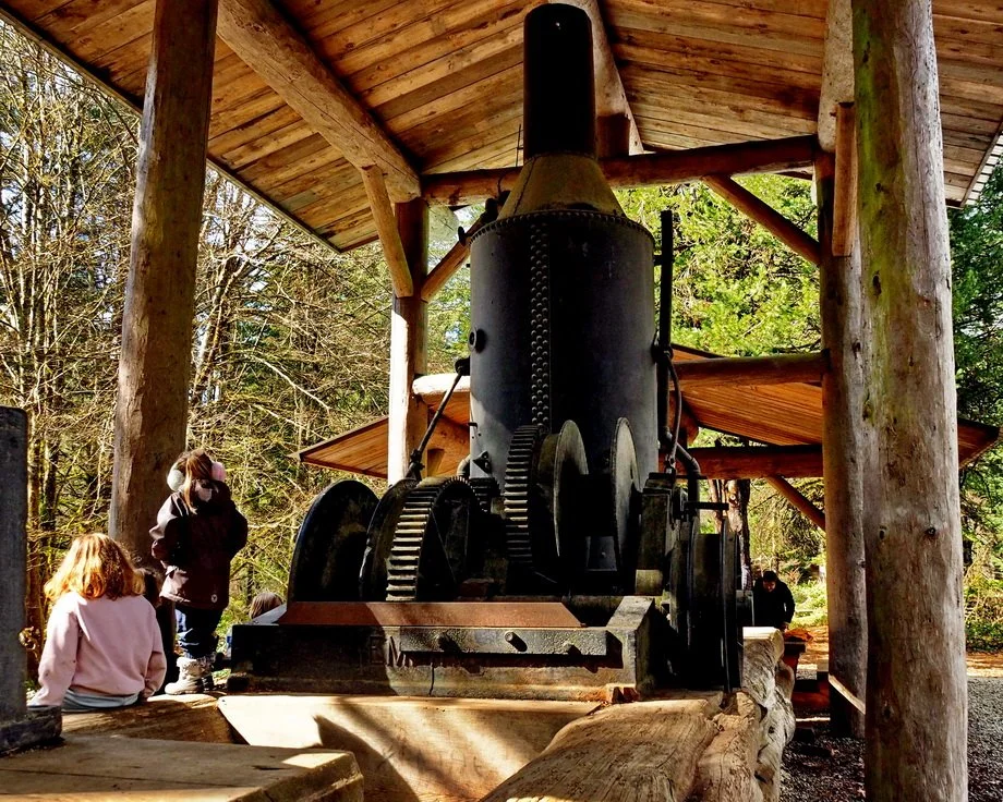 31-M Knapp UBC Research Forest.JPG