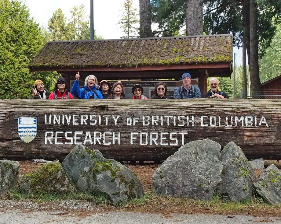 32-M Knapp UBC Research Forest.JPG