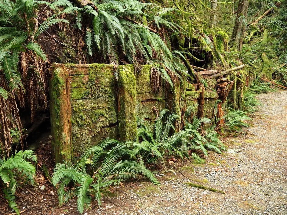 21-Seymour River and Lynn Creek.JPG