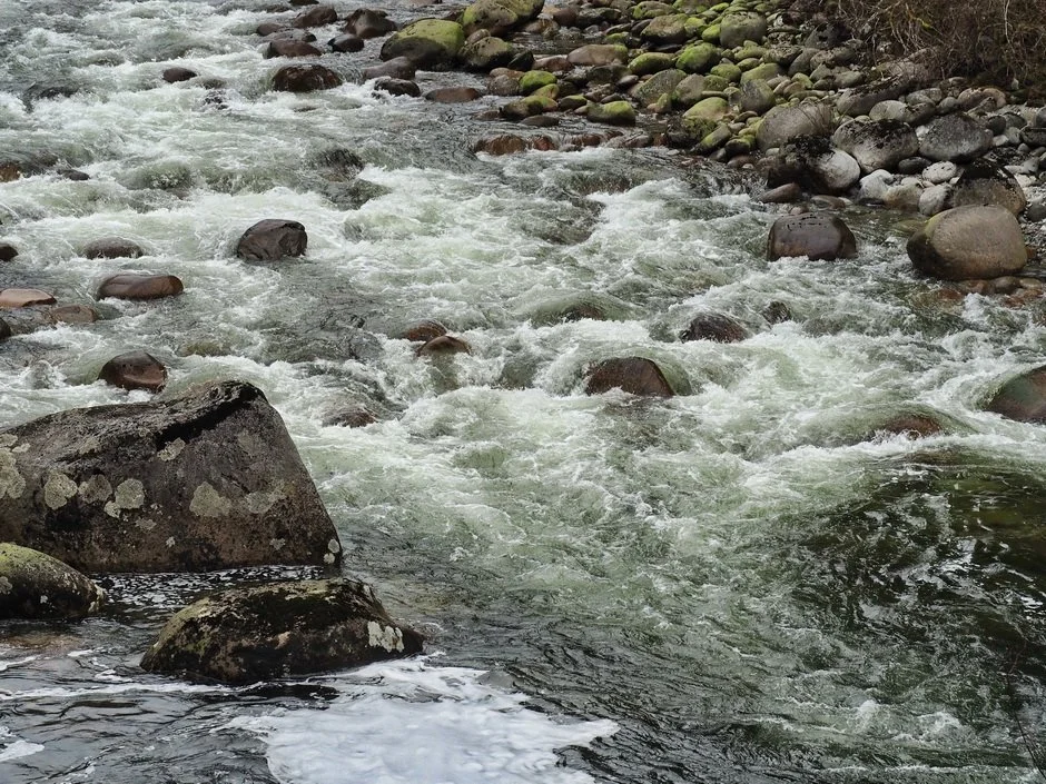 24-Seymour River and Lynn Creek.JPG