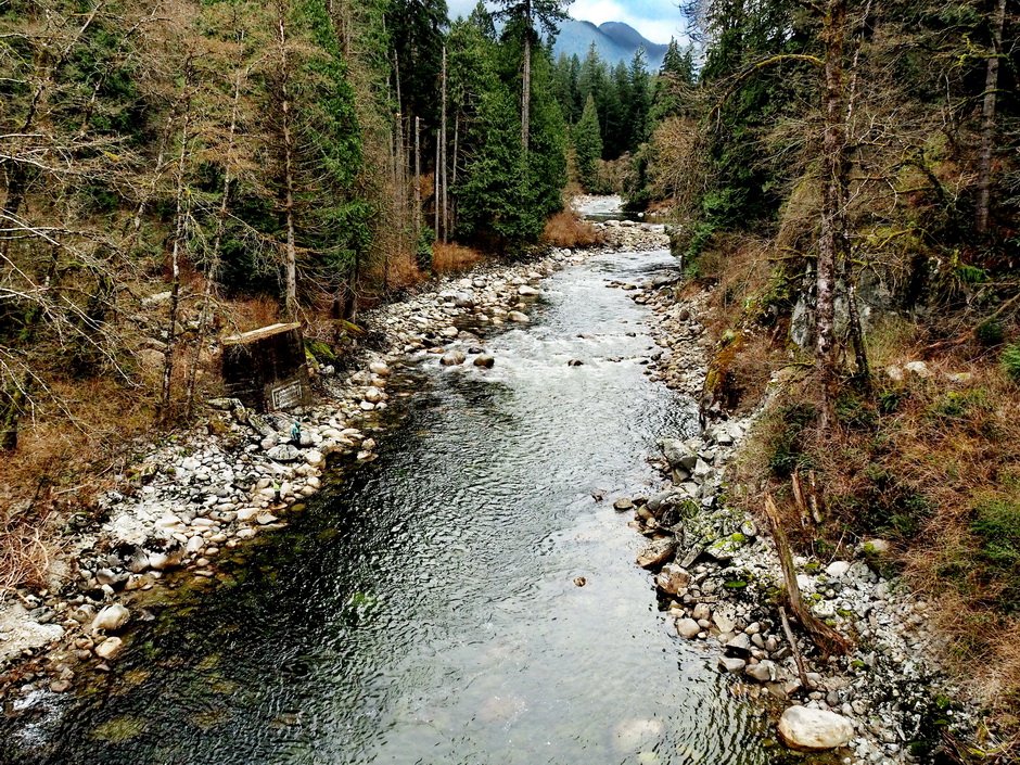 25-Seymour River and Lynn Creek.JPG