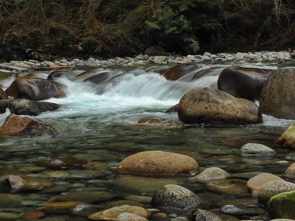 28-Seymour River and Lynn Creek.JPG