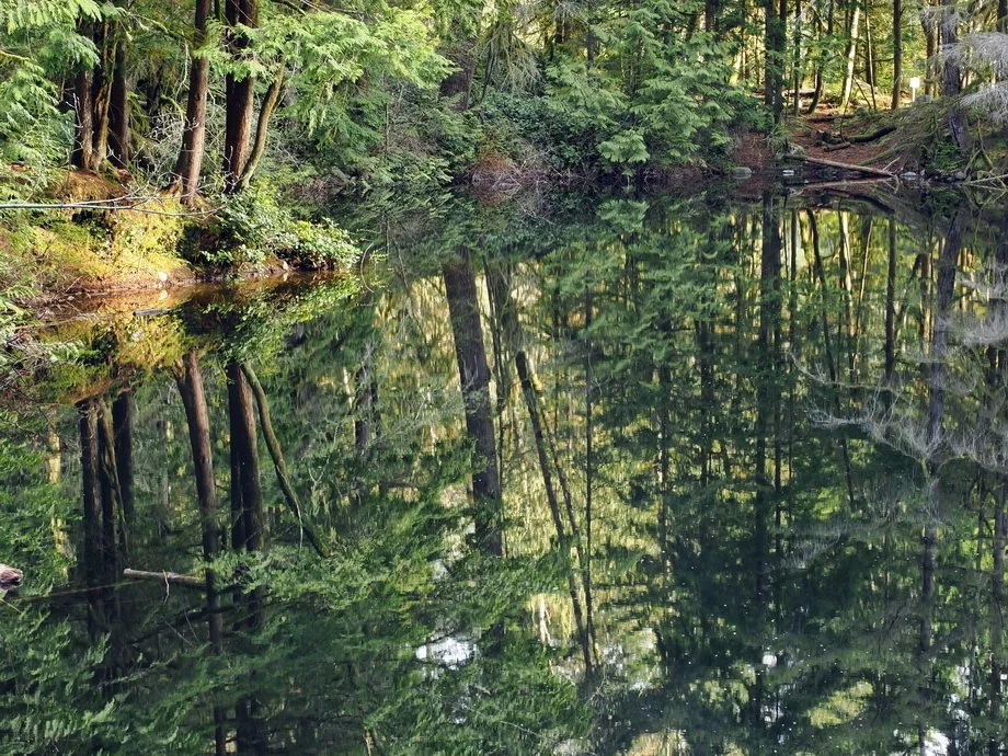 32-Rice Lake, Circuit 8 and Lynn Creek.JPG