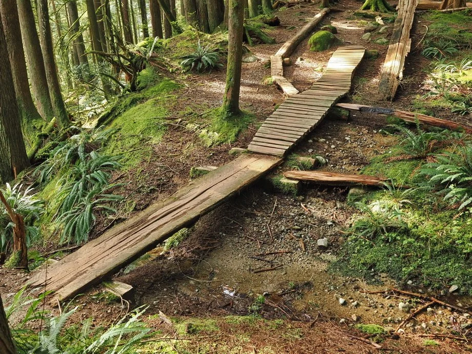 35-Rice Lake, Circuit 8 and Lynn Creek.JPG