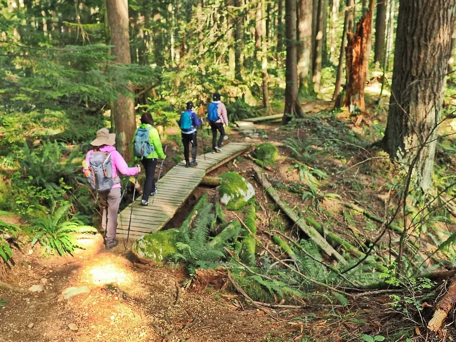 37-Rice Lake, Circuit 8 and Lynn Creek.JPG