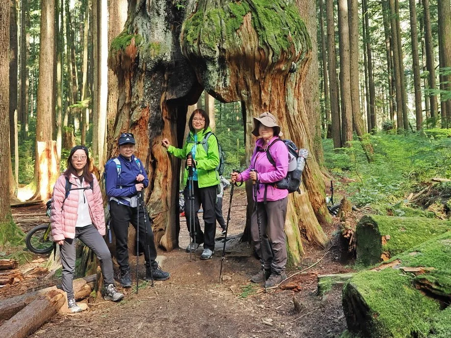 38-Rice Lake, Circuit 8 and Lynn Creek.JPG