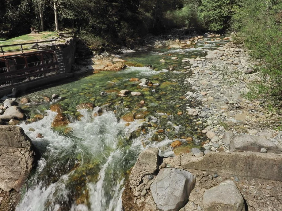 39-Rice Lake, Circuit 8 and Lynn Creek.JPG