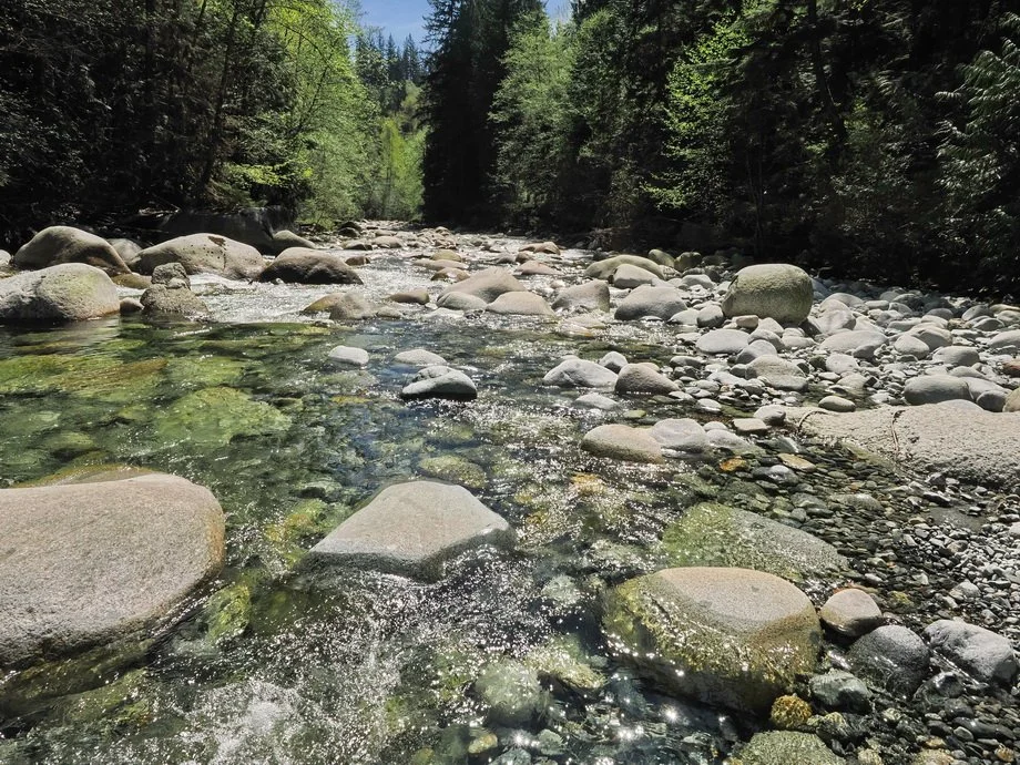 40-Rice Lake, Circuit 8 and Lynn Creek.JPG