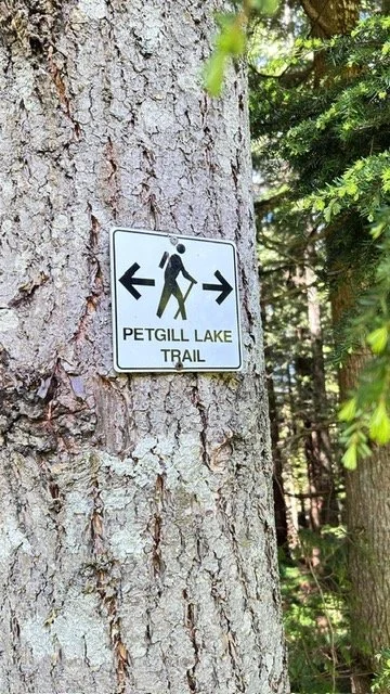 1.jpeg