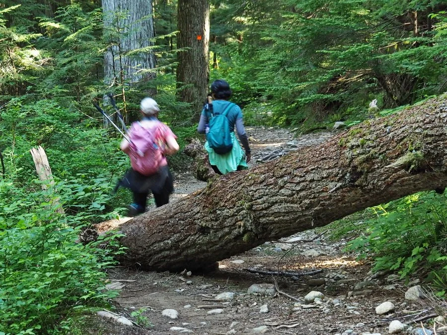 22-Brother's Creek.JPG