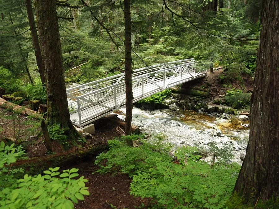 25-Brother's Creek.JPG