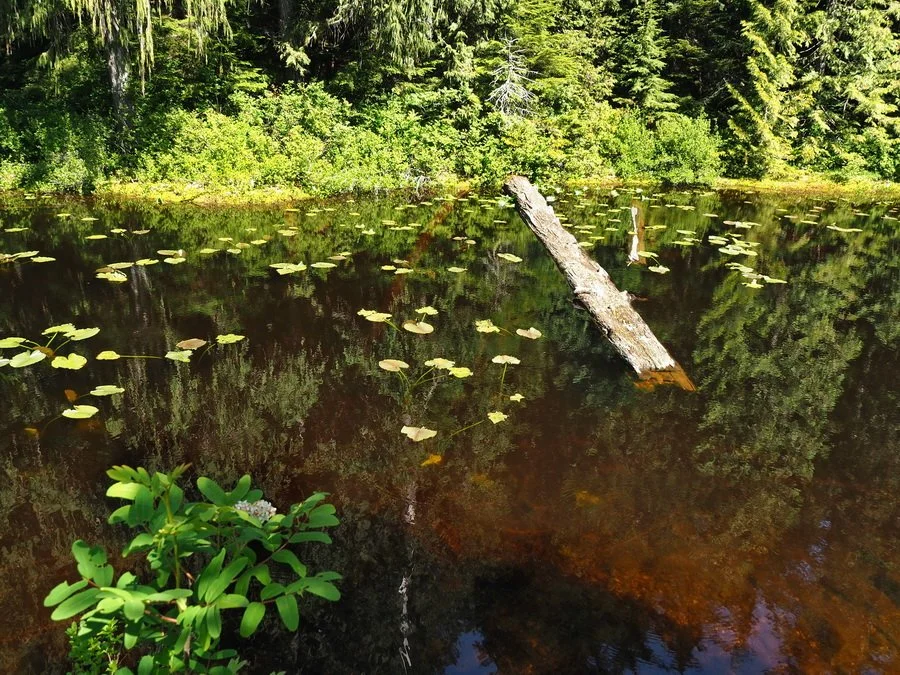 28-Brother's Creek.JPG