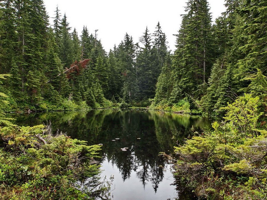31-Brother's Creek.jpg