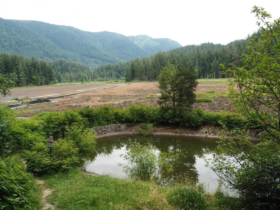 29-Minnekhada.JPG