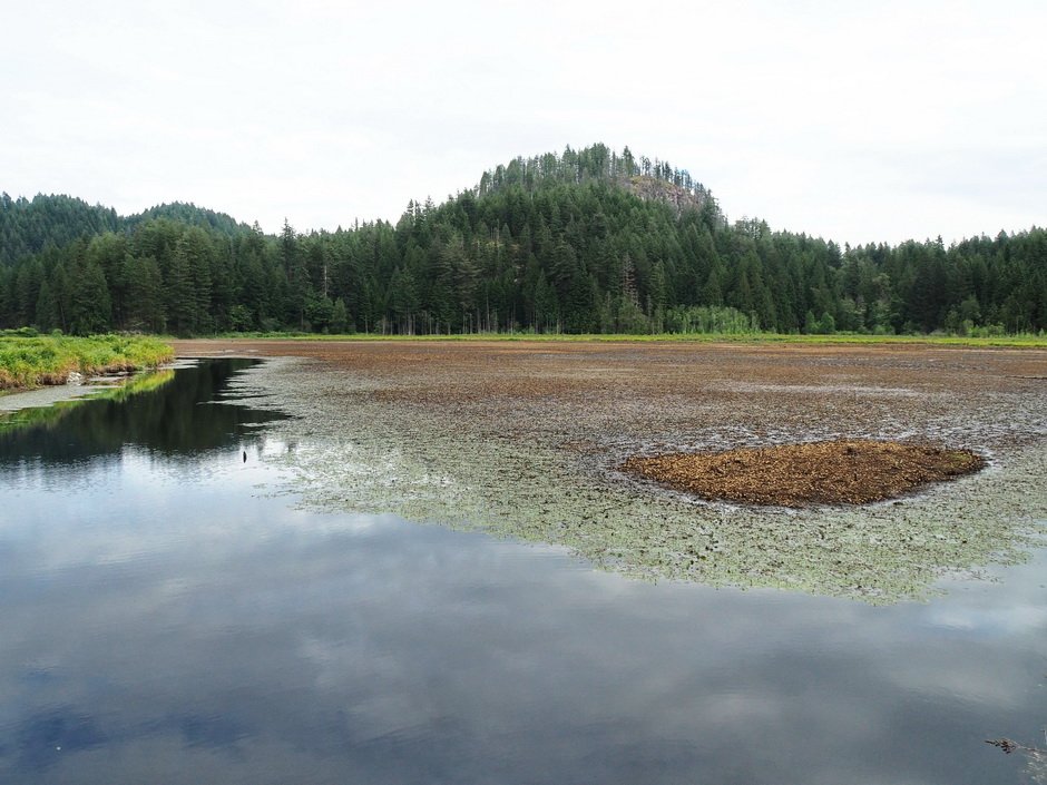31-Minnekhada.JPG