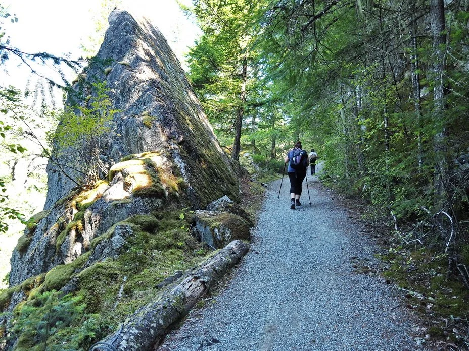 34-Cheakamus Canyon.JPG