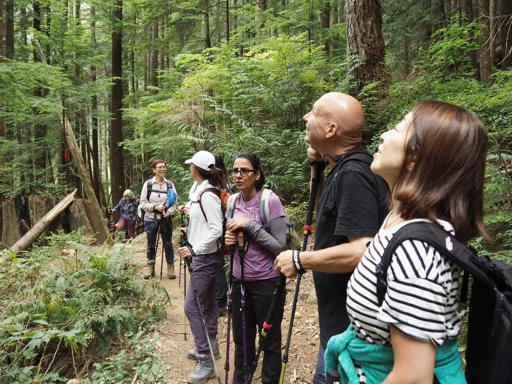 26-Gold Creek-Golden Ears Park.JPG