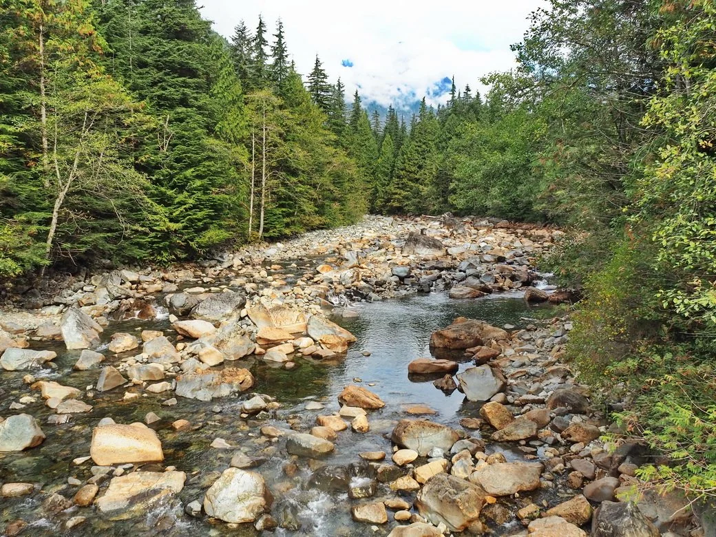 27-Gold Creek-Golden Ears Park.JPG