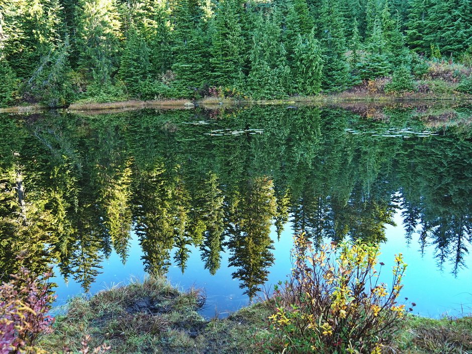 21-Hollyburn Four Lakes.JPG
