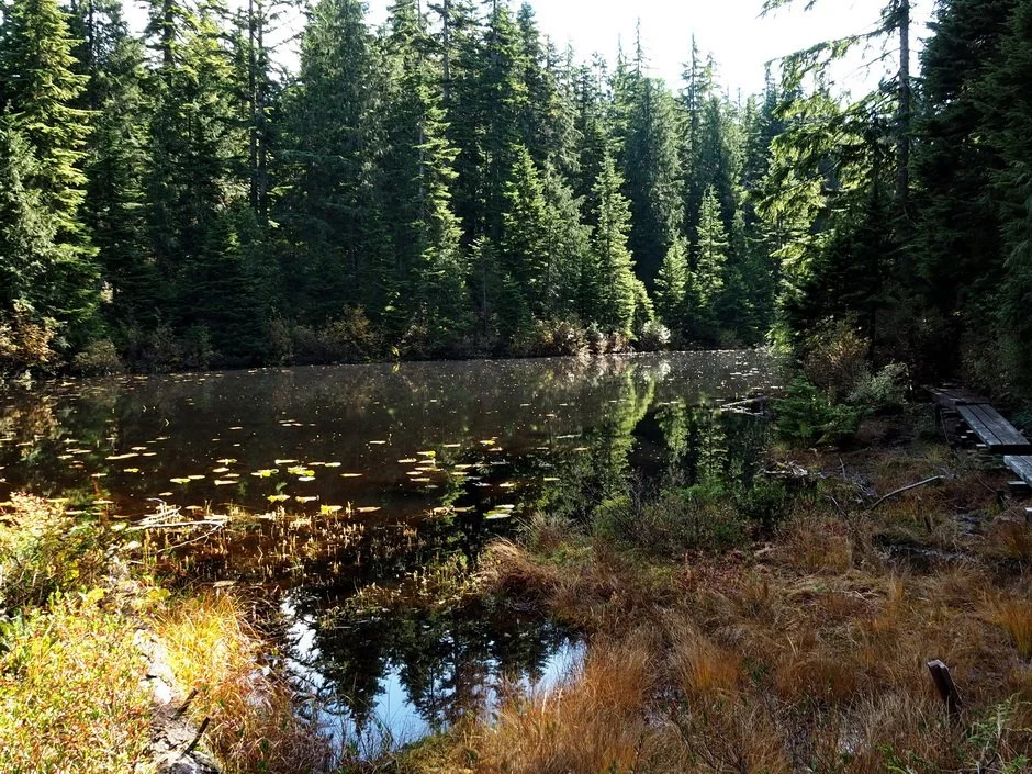 32-Hollyburn Four Lakes.JPG
