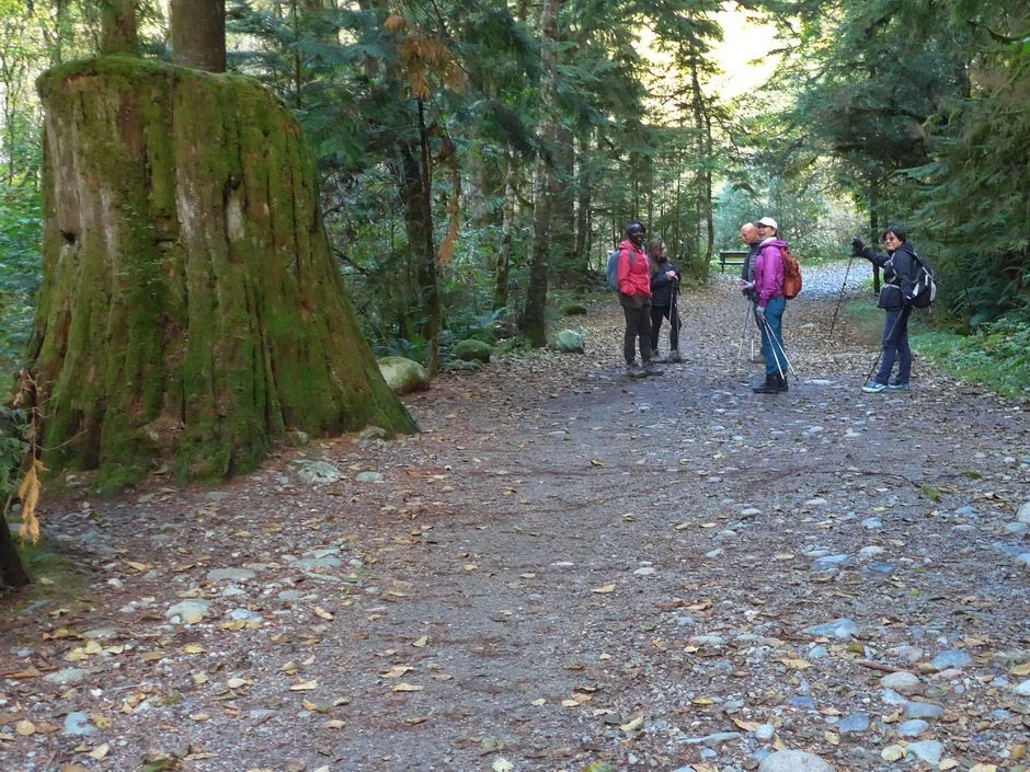 22-Norvan Falls.JPG