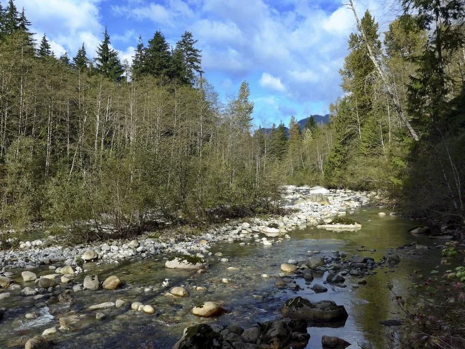 21-Norvan Falls_edited.jpg