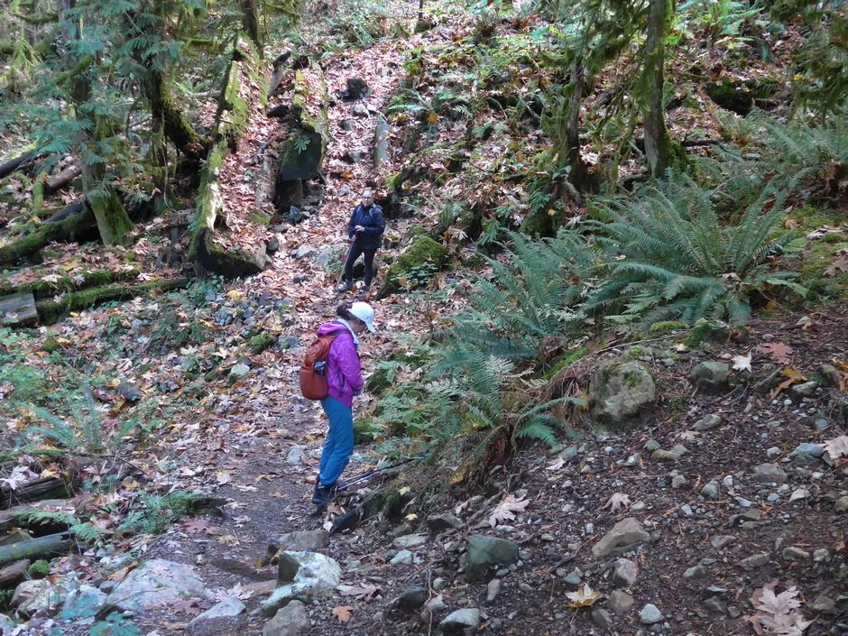 23-Norvan Falls.JPG