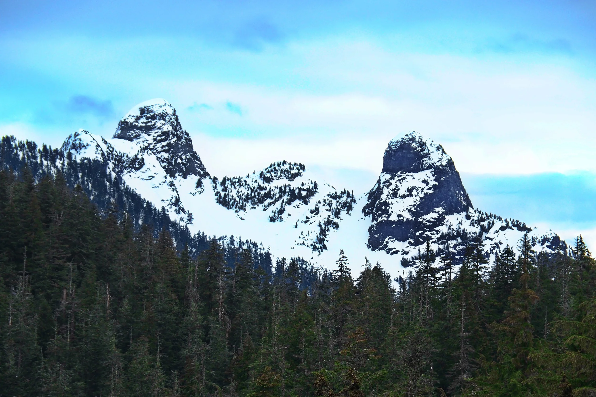 2023 01 15- Two Lions-G1152903MC4x6.JPG