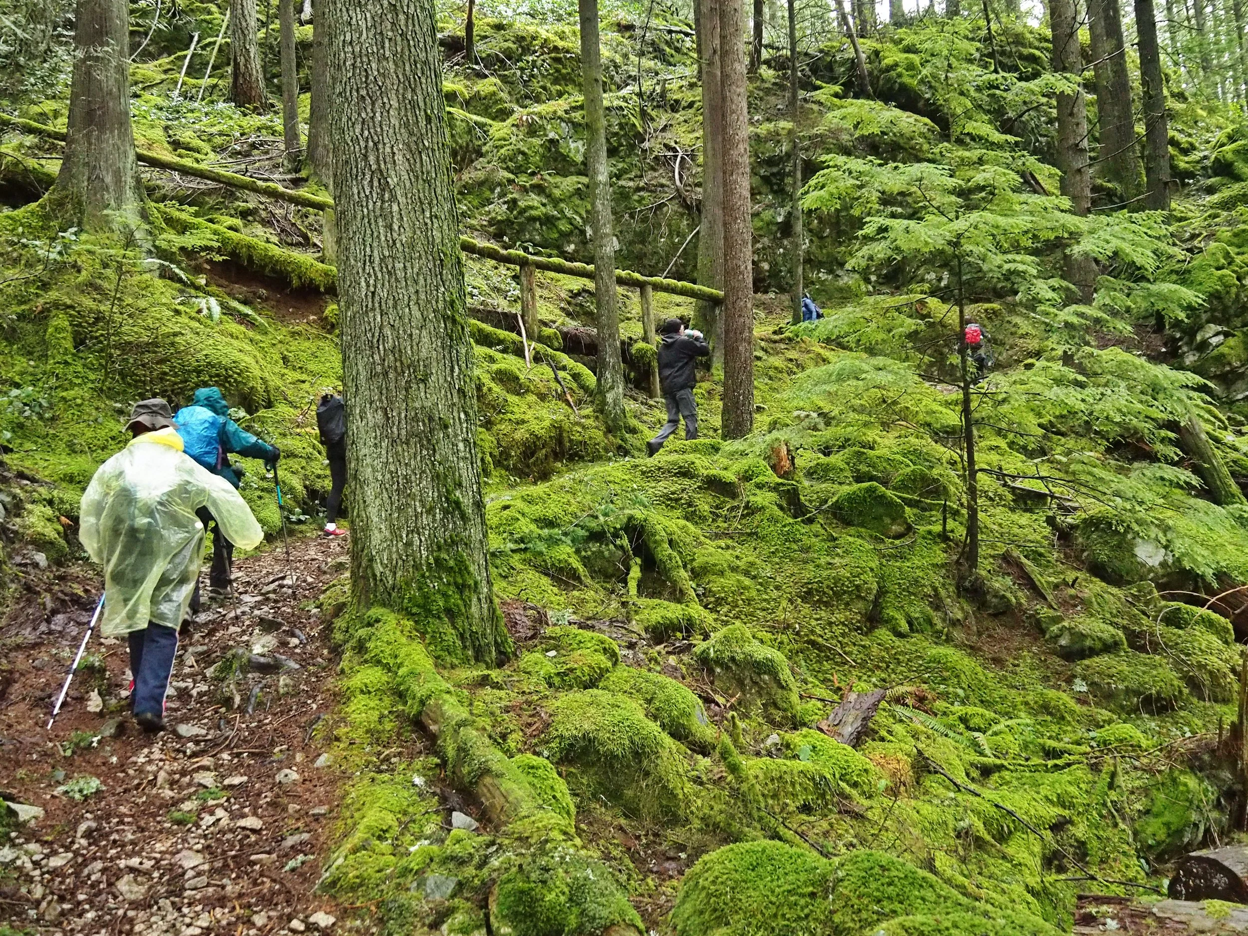 23 01 21 Buntzen Lake-G1212997M.JPG