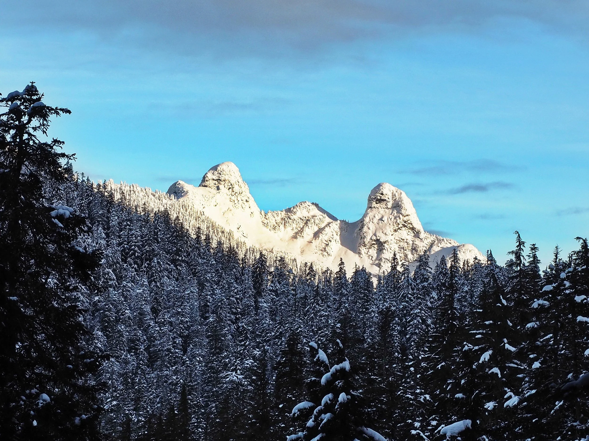 2023 01 15-Two Lions-G1042728MC.JPG