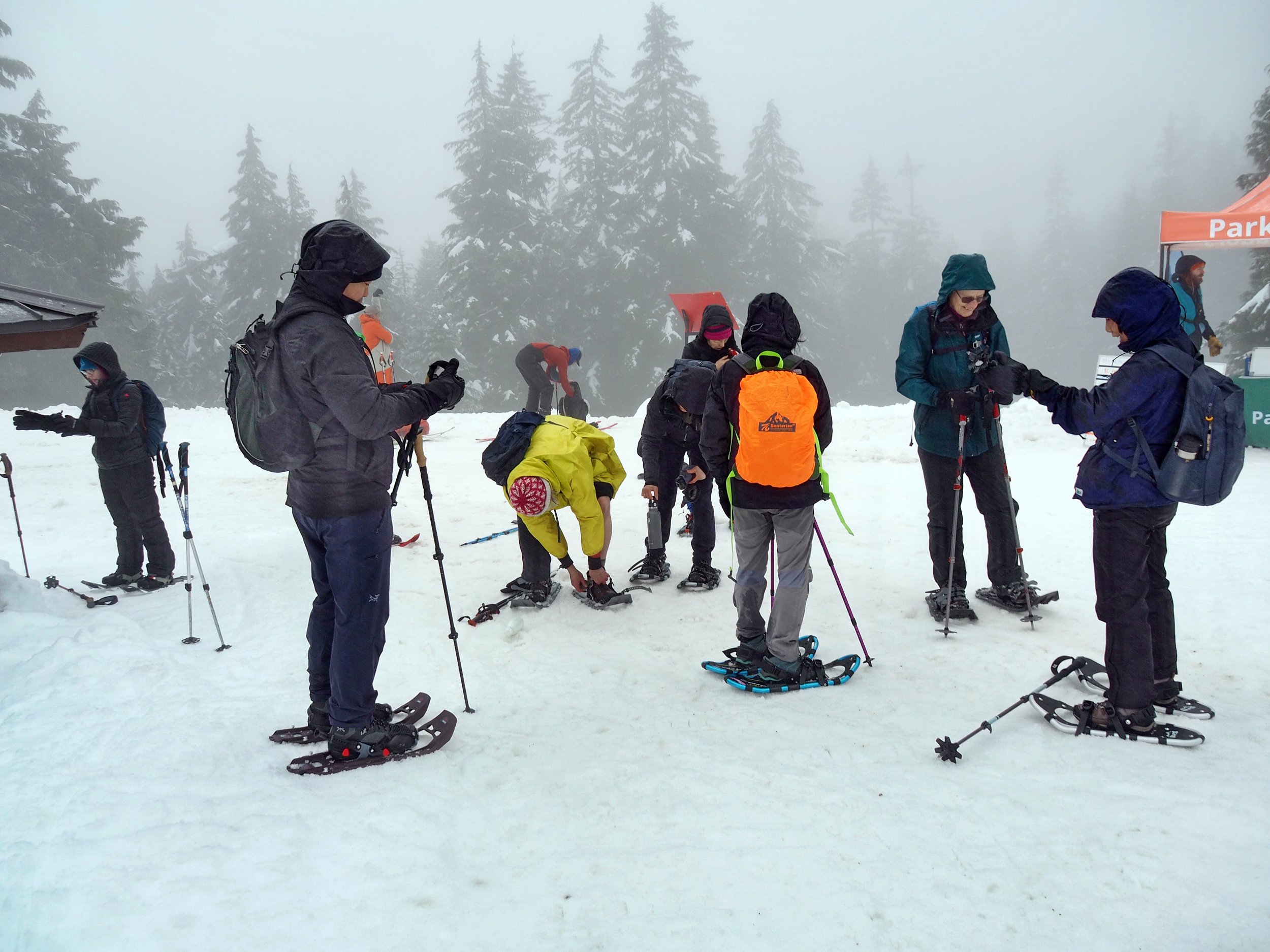 2023 02 12-Mt Seymour-G2120517M.JPG