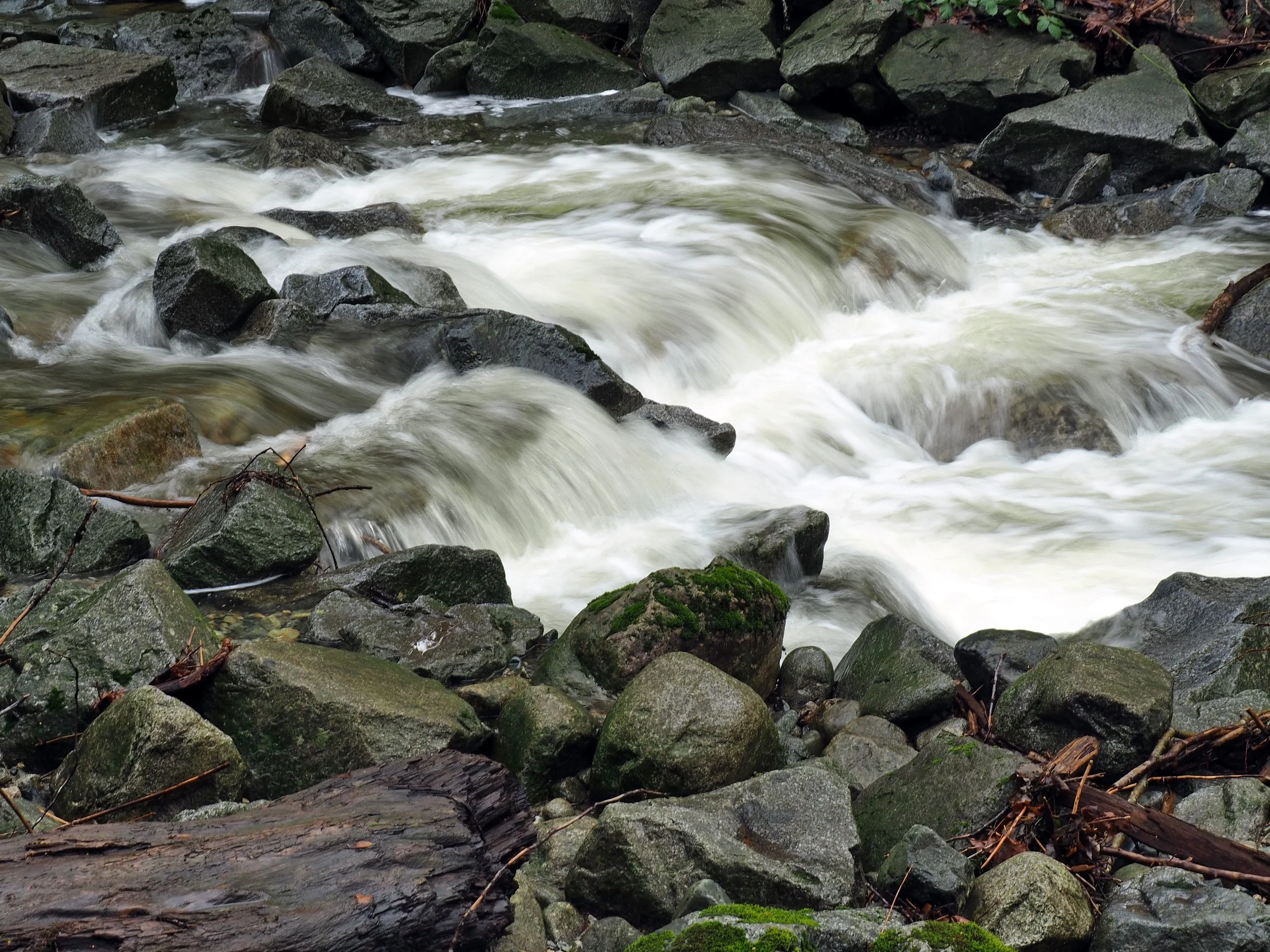 2023 02 05-Mosquito Creek-G2050448M.JPG